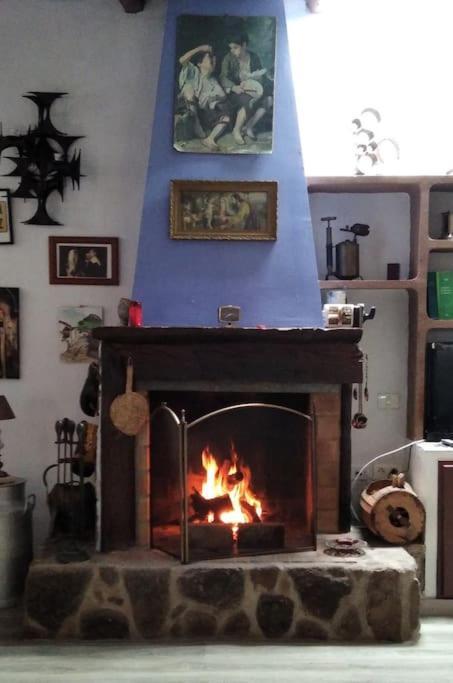 Rural House To Take A Break, La Serreria 25 - Private Garden Tacoronte Luaran gambar
