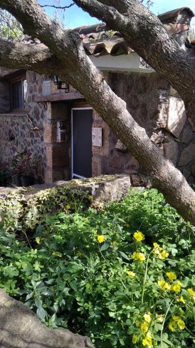 Rural House To Take A Break, La Serreria 25 - Private Garden Tacoronte Luaran gambar