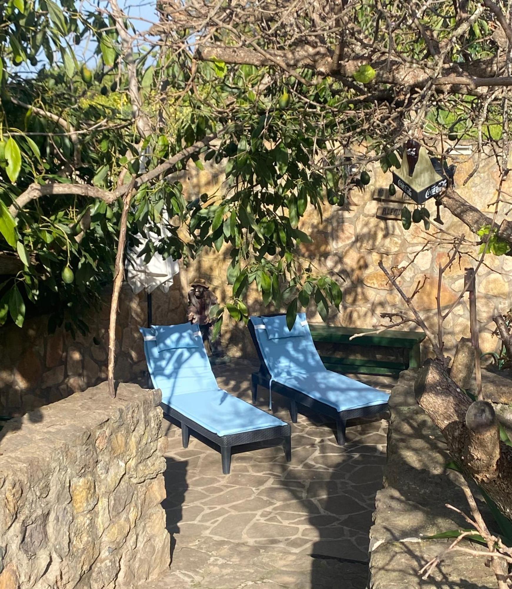 Rural House To Take A Break, La Serreria 25 - Private Garden Tacoronte Luaran gambar