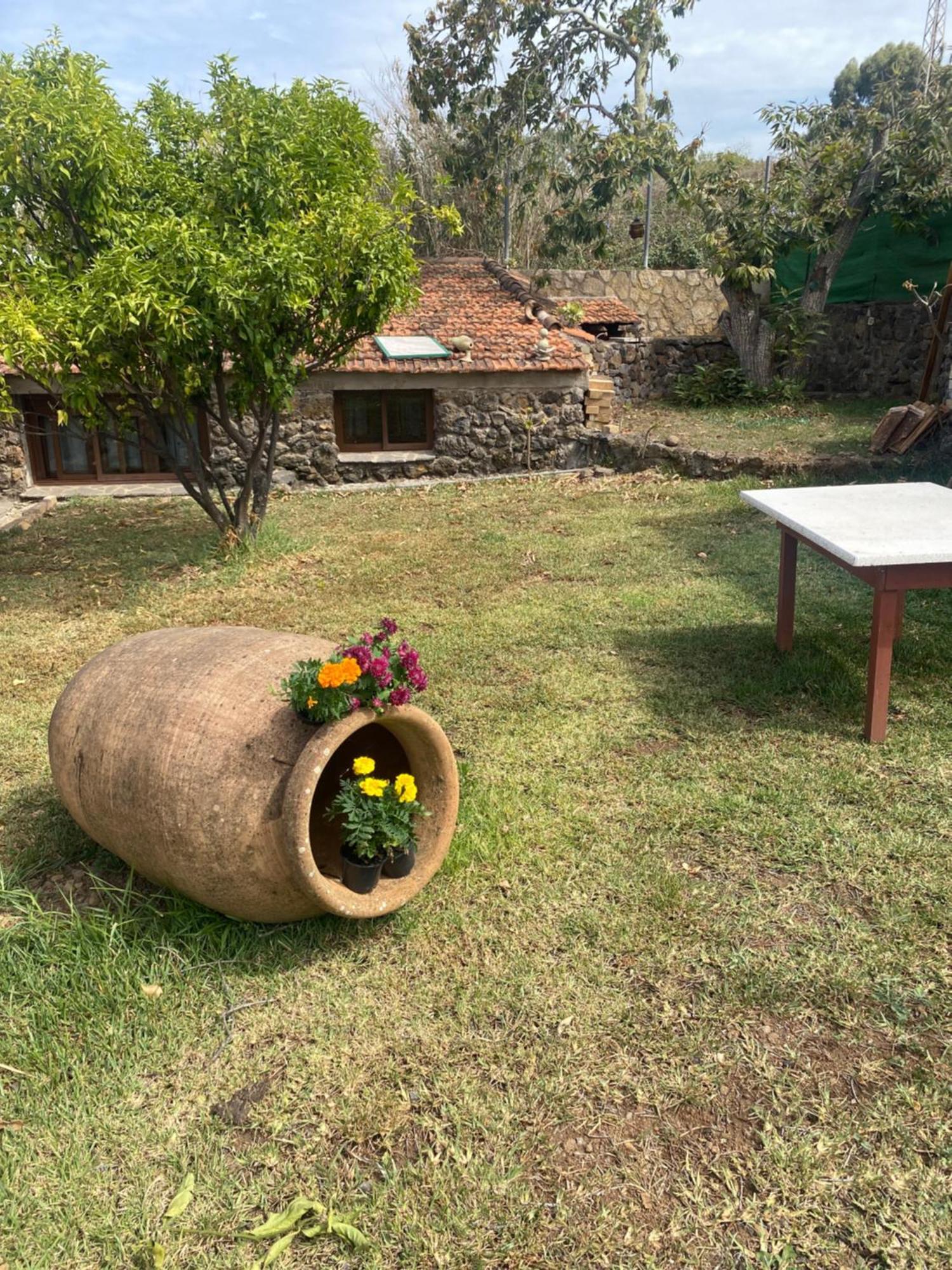 Rural House To Take A Break, La Serreria 25 - Private Garden Tacoronte Luaran gambar