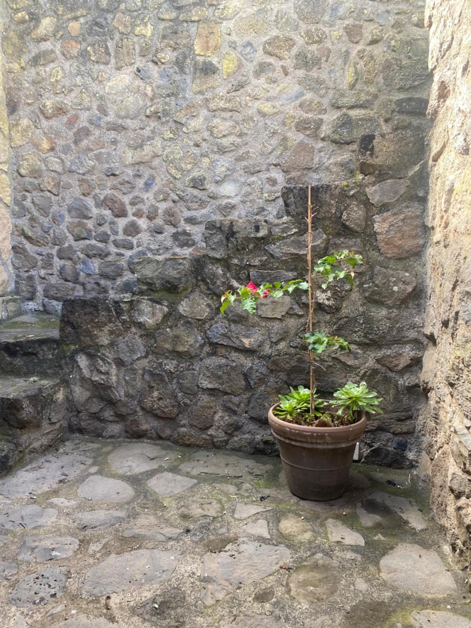 Rural House To Take A Break, La Serreria 25 - Private Garden Tacoronte Luaran gambar